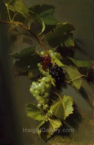 The Grapevine by Sherrie McGraw