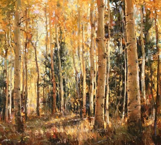 Fall Aspen Light by Clive R. Tyler