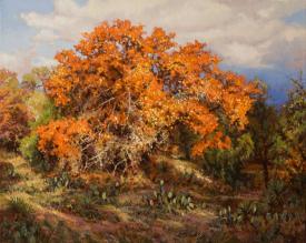 The Spanish Oak by Mark Haworth