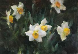 White Daffodils by Kyle Ma
