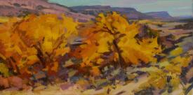 Cottonwoods and Mesas - Butler Wash by Jill Carver