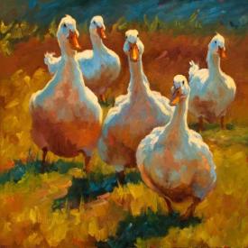 Must Be Quackers by Cheri Christensen