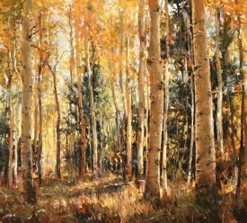 Fall Aspen Light by Clive R. Tyler