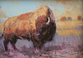 Bison Sunset by Clive R. Tyler