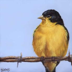 Keeping Vigil (Lesser Goldfinch) by Jhenna Quinn Lewis