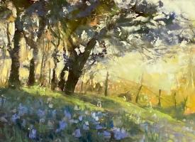 Fence Line Spring Hill Country by Clive R. Tyler