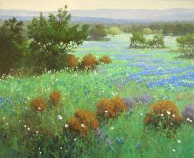Prickly Poppies and Buffalo Clover ~ Signed & Numbered Giclee by Robert Pummill