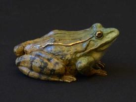 Frog I by Jim Eppler