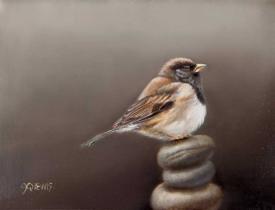 Junco on a Cairn by Jhenna Quinn Lewis