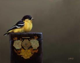 Resting of Wings (American Goldfinch) by Jhenna Quinn Lewis