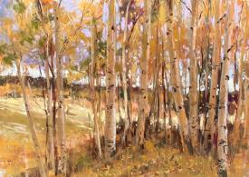 Fall Aspen Valley by Clive R. Tyler