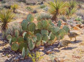 Desert Heat by Mark Haworth