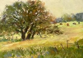 Hill Country Pasture by Clive R. Tyler