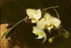 White Orchids by Sherrie McGraw