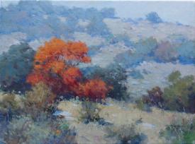 Near Llano by Robert Pummill
