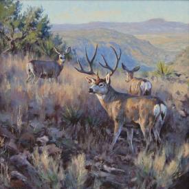 West Texas Muleys by Brian Grimm