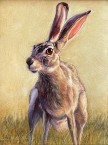 Jack Rabbit by Mary Ross Buchholz