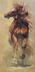 Nobody's Pony by Abigail Gutting