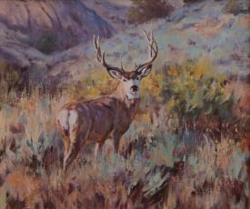 Mountain Muley by Brian Grimm