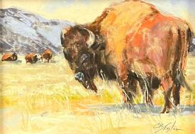 Yellowstone Bison by Clive R. Tyler