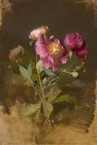 Market Peonies by Sherrie McGraw
