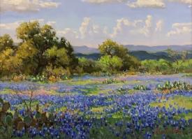 Gillespie County Spring by Mark Haworth