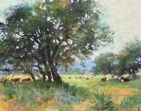 Ranch Views Hill Country by Clive R. Tyler