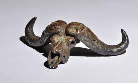 Cape Buffalo Skull by Mick Doellinger