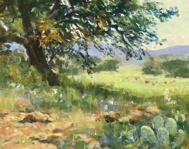 Hill Country Vista by Clive R. Tyler