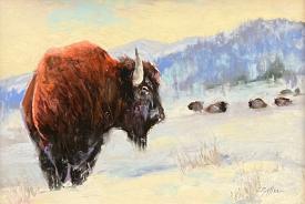 Yellowstone Bison Herd by Clive R. Tyler