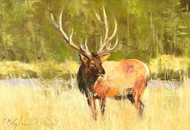 Afternoon Elk by Clive R. Tyler