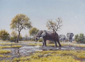 The Water Hole by Francois Koch