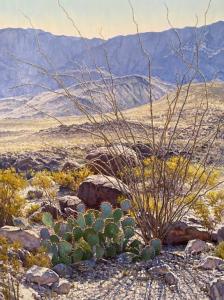 Desert Oasis by Mark Haworth