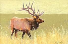 Elk Morning by Clive R. Tyler