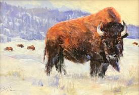 Bison in Yellowstone by Clive R. Tyler