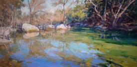 Barton Creek Greenbelt by Jill Carver