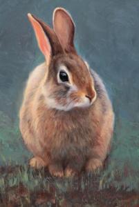 Bunny by Mary Ross Buchholz