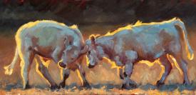 Cow Games by Cheri Christensen