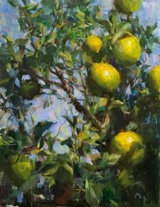 Lemon Tree by Kyle Ma