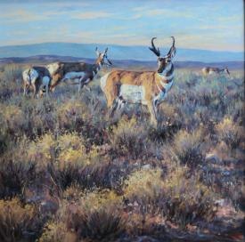 Life on the Western Prairie by Brian Grimm