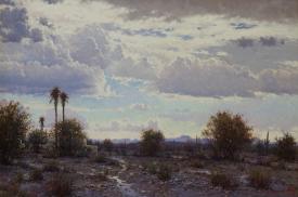 Desert Skies by Francois Koch
