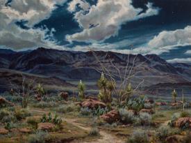 Desert Nocturne by Mark Haworth