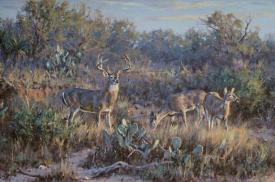Old Cattle Trails and Fresh Deer Tracks (Estate) by Brian Grimm