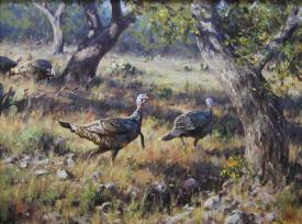 Hill Country Turkeys by Brian Grimm